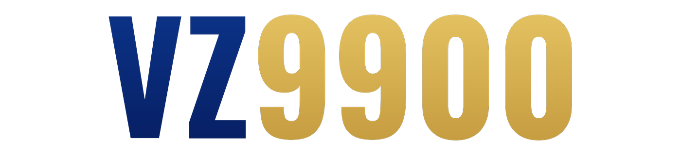 vz9900.com